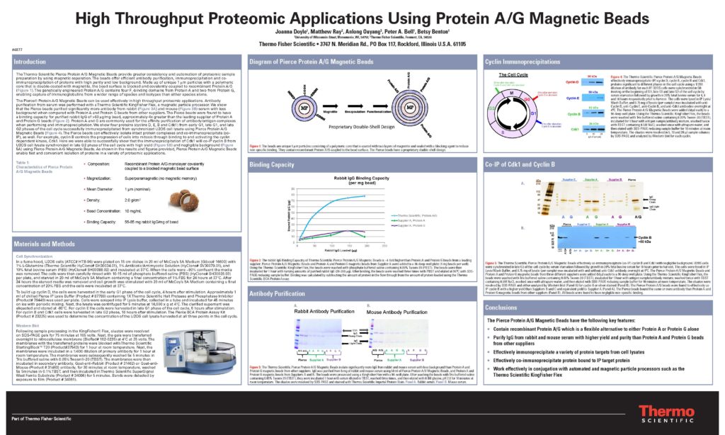 Doyle_Joanna_Protein_A_G_Magnetic_Beads