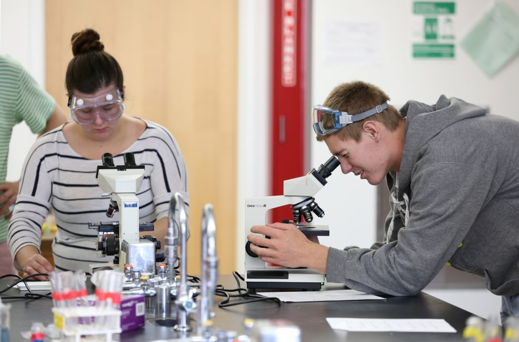 Students work in the lab during Associate Professor Matthew Ray's Chemistry of Materials class An engineering student works on mathematics coursework in Jarvis Hall Thursday, September 28, 2017. Pictured are students examining the products of a crystallization lab where they studied nucleation and growth of single crystalline materials and polycrystalline materials using saturated aqueous ionic solutions of alum, copper sulfate, magnesium sulfate, and iron ammonium sulfate. (UW-Stout Photo by Brett T. Roseman)