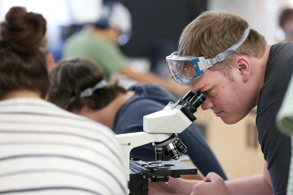 Students work in the lab during Associate Professor Matthew Ray's Chemistry of Materials class An engineering student works on mathematics coursework in Jarvis Hall Thursday, September 28, 2017. Pictured are students examining the products of a crystallization lab where they studied nucleation and growth of single crystalline materials and polycrystalline materials using saturated aqueous ionic solutions of alum, copper sulfate, magnesium sulfate, and iron ammonium sulfate. (UW-Stout Photo by Brett T. Roseman)