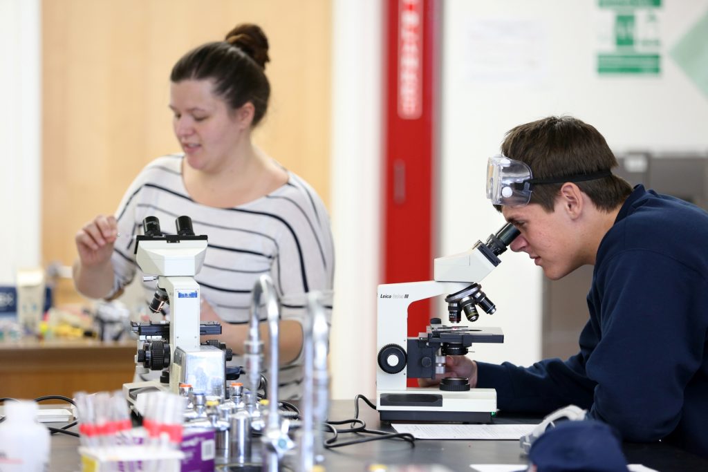 Students work in the lab during Associate Professor Matthew Ray's Chemistry of Materials class An engineering student works on mathematics coursework in Jarvis Hall Thursday, September 28, 2017. Pictured are students examining the products of a crystallization lab where they studied nucleation and growth of single crystalline materials and polycrystalline materials using saturated aqueous ionic solutions of alum, copper sulfate, magnesium sulfate, and iron ammonium sulfate. (UW-Stout Photo by Brett T. Roseman)